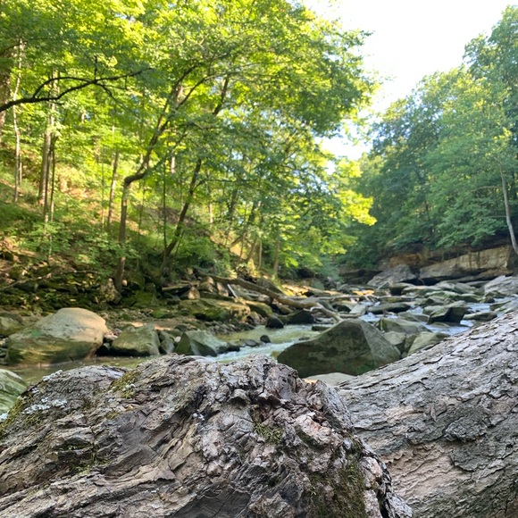 Meet your Posher, Claire - Picture 1 of 1